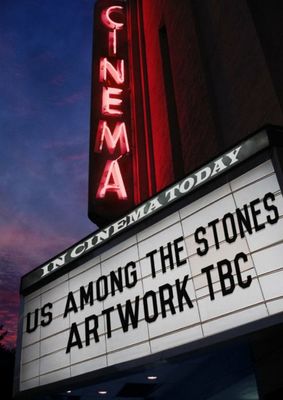 Us Among The Stones poster