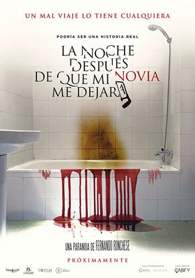 La noche después de que mi novia me dejara poster