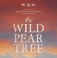 Poster 3 The Wild Pear Tree