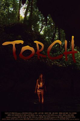 Torch poster