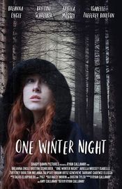 Poster One Winter Night