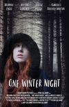One Winter Night 