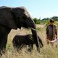 Foto 4 Phoenix Wilder: And the Great Elephant Adventure