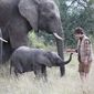 Foto 1 Phoenix Wilder: And the Great Elephant Adventure