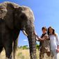 Phoenix Wilder: And the Great Elephant Adventure/Călătoria marelui elefant