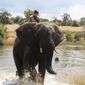 Foto 8 Phoenix Wilder: And the Great Elephant Adventure