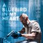 Poster 1 A Bluebird in My Heart