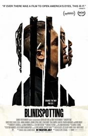 Poster Blindspotting