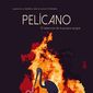 Poster 5 Pelicano