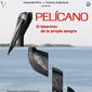 Poster 3 Pelicano