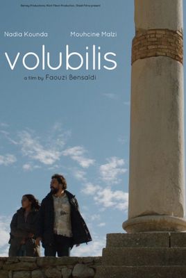 Volubilis poster