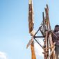 Foto 10 The Boy Who Harnessed the Wind