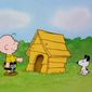 Foto 9 Snoopy's Reunion