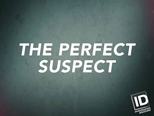 The Perfect Suspect poster