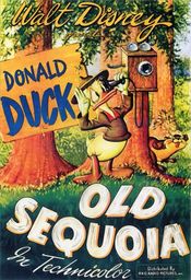 Poster Old Sequoia