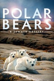 Poster Polar Bears: A Summer Odysseya