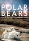 Film Polar Bears: A Summer Odysseya