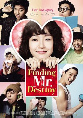 Finding Mr Destiny poster