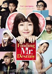 Poster Finding Mr Destiny