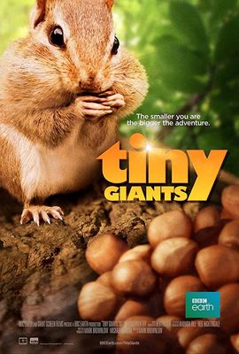 Tiny Giants 3D poster
