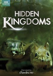 Poster Hidden Kingdoms