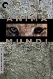 Poster Anima Mundi