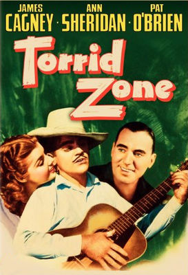 Torrid Zone poster