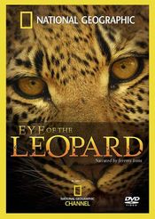 Poster Eye of the Leopard