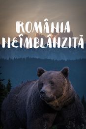 Poster România neîmblânzită