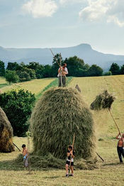 Poster Fâneţe montane: rezerve de biodiversitate și cultură tradițională