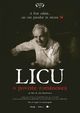 Film - Licu, o poveste românească