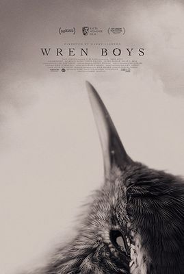 Wren Boys poster