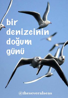 Bir Denizcinin Dogum Günü poster