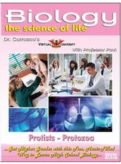Poster Protozoa