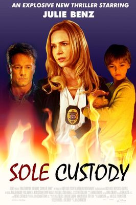 Sole Custody poster