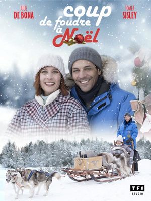 Coup de Foudre à Noël poster