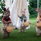 Peter Rabbit: The Runaway/Peter Iepuraşul: Fugit de acasă