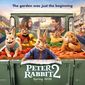 Poster 6 Peter Rabbit: The Runaway