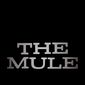 Poster 6 The Mule