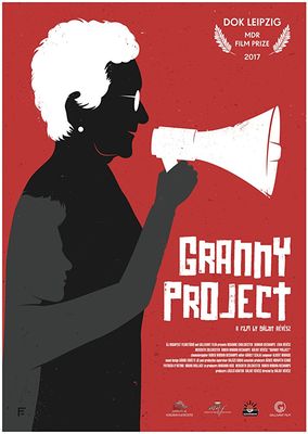 Nagyi projekt poster