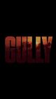 Film - Gully
