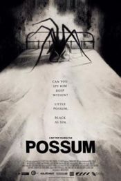 Poster Possum