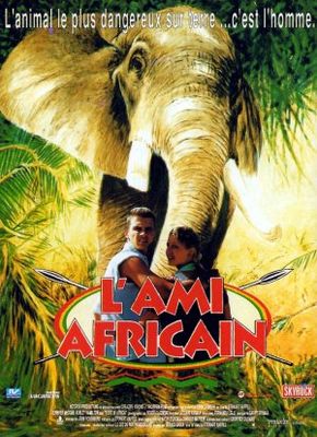 Lost in Africa poster