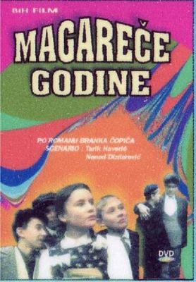 Magarece godine poster