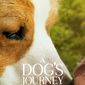 Poster 2 A Dog's Journey