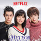 Poster 3 Meteor Garden