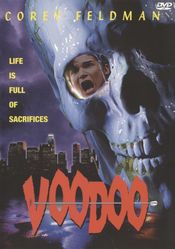 Poster Voodoo
