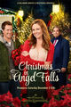 Film - Christmas in Angel Falls