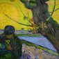 Foto 2 Exhibition on Screen: Vincent Van Gogh
