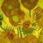 Exhibition on Screen: Vincent Van Gogh/Colecția de artă: Van Gogh - A New Way of Seeing